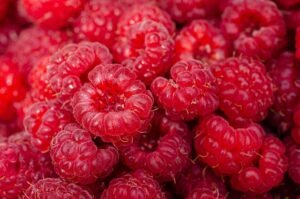 Como a Nutrição Inteligente Pode Turbinar Sua Energia Natural