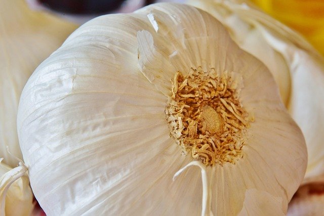 Sabor e Saúde na Rotina: Ideias Leves para o Dia a Dia Corrido